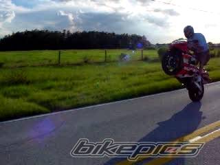 2002 SUZUKI GSX R 1000 | Picture 39919 motorcycle photo