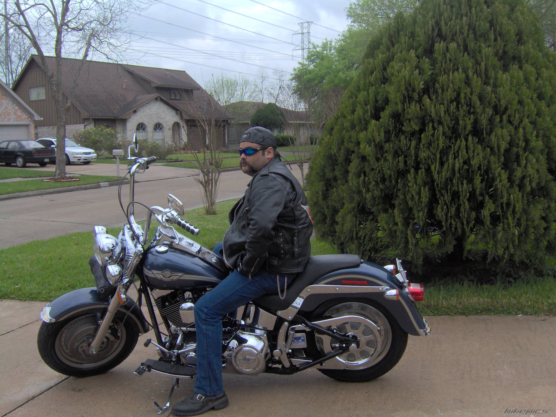 2003 HARLEY DAVIDSON FLSTF | Picture 399217 motorcycle photo