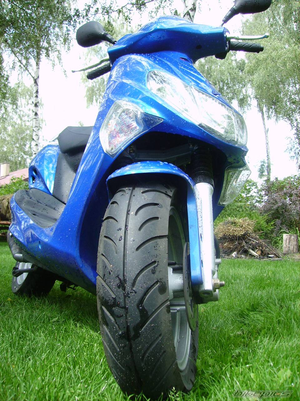 2005 KYMCO VITALITY 50 | Picture 399410 motorcycle photo