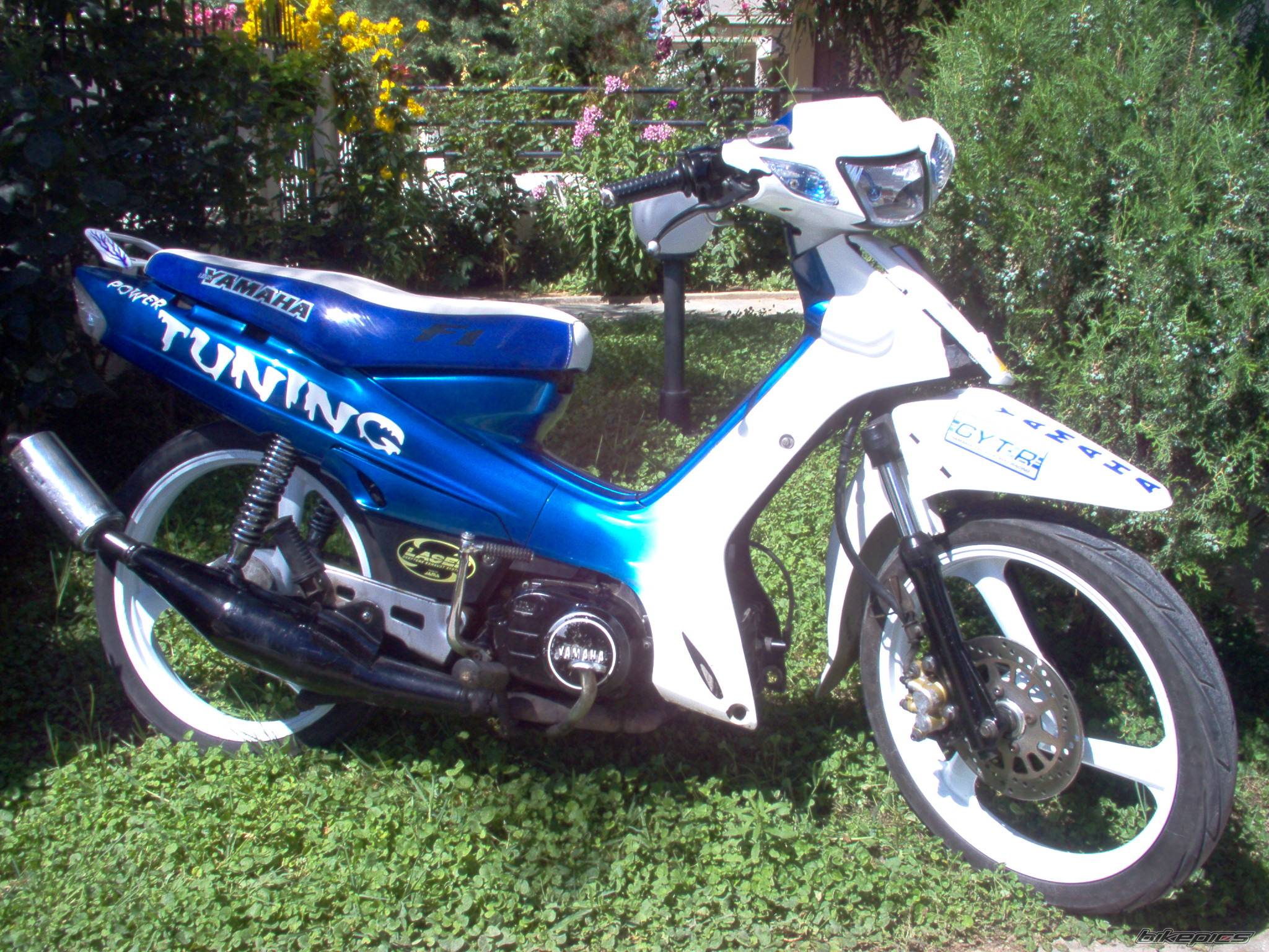 2005 HONDA SUPRA 110 | Picture 399570 motorcycle photo