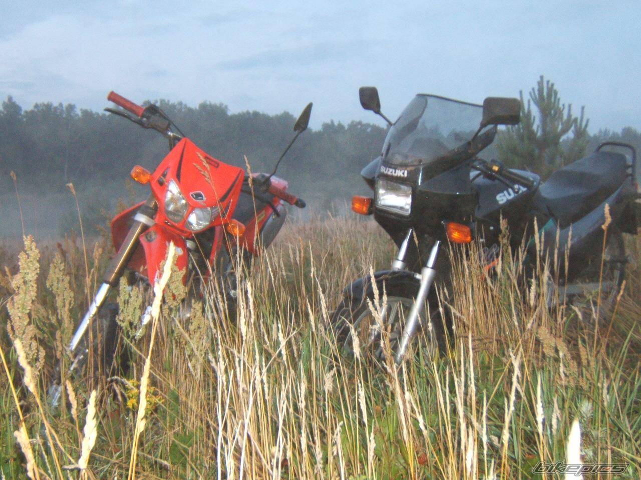 2001 DERBI SENDA SM 50 | Picture 399612 motorcycle photo