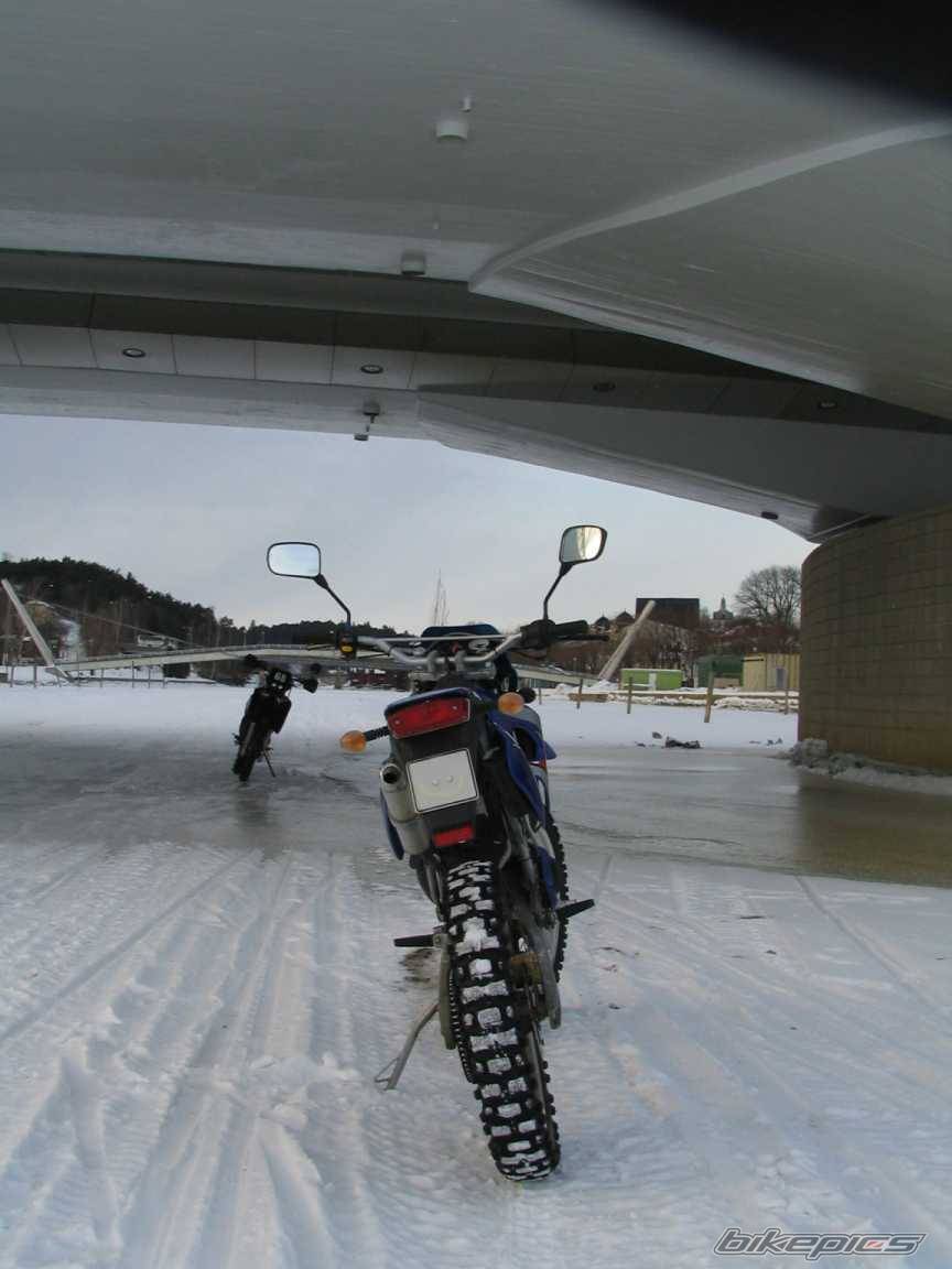 1995 YAMAHA DT 125 | Picture 399743 motorcycle photo