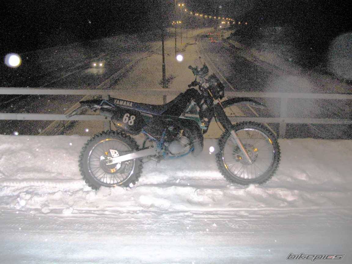 1995 YAMAHA DT 125 | Picture 399749 motorcycle photo