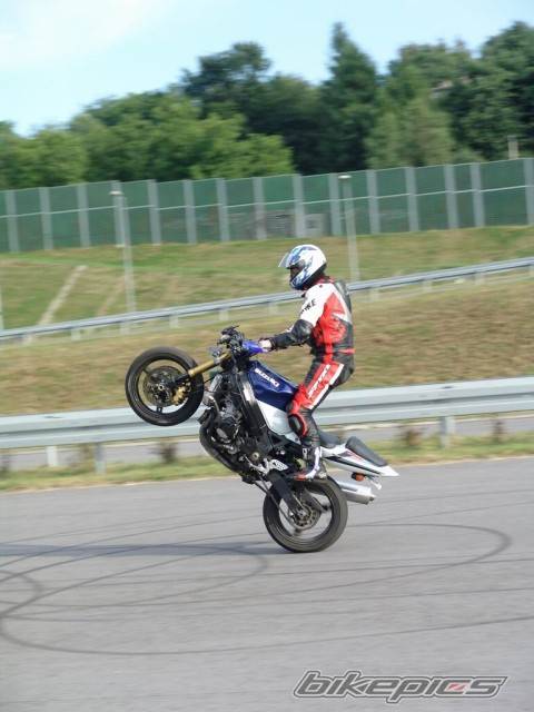 2003 SUZUKI GSX R 1000 | Picture 399831 motorcycle photo