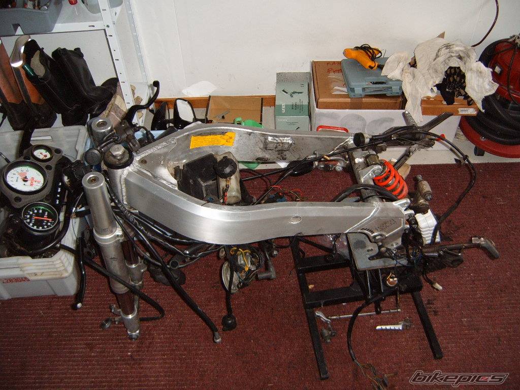 1992 APRILIA AF1 SPORT PRO 125 | Picture 400005 motorcycle photo