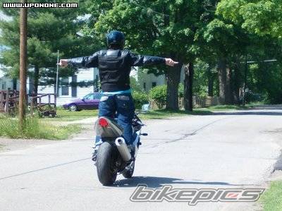 2003 SUZUKI GSX R 1000 | Picture 400052 motorcycle photo
