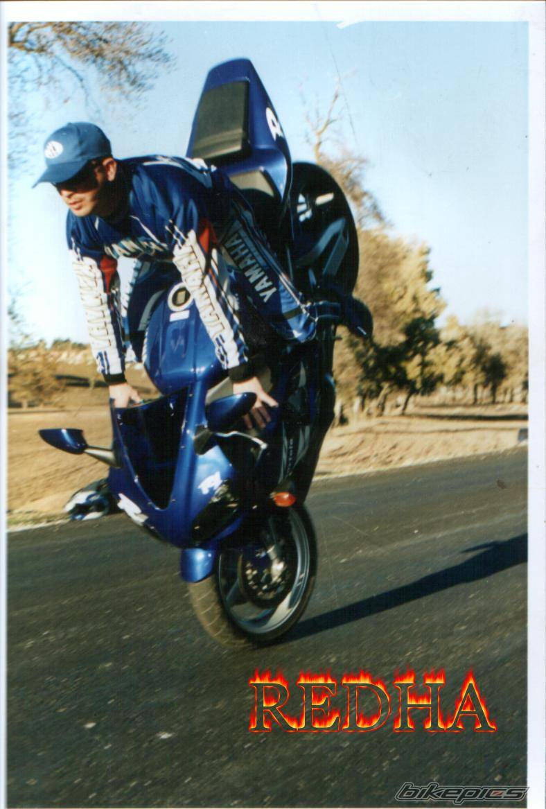 2000 YAMAHA YZF R1 | Picture 40006 motorcycle photo