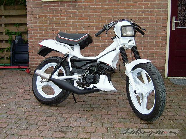 1988 MALAGUTI FIFTY FULL | Picture 401238 motorcycle photo