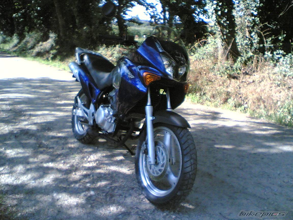2005 HONDA XL 125 | Picture 401833 motorcycle photo