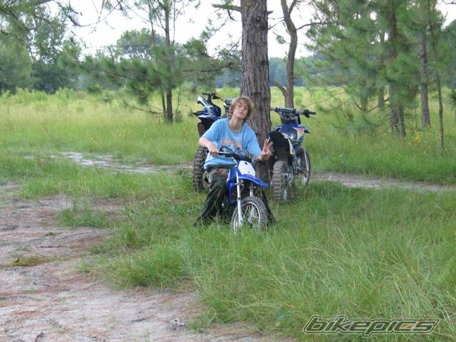 2002 YAMAHA PW 50 | Picture 401907 motorcycle photo