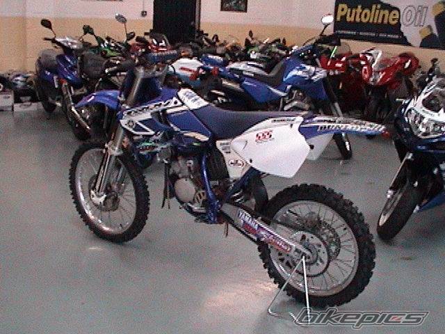 2000 YAMAHA YZ 125 | Picture 40199 motorcycle photo