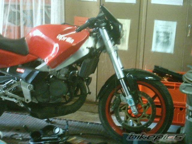 1989 APRILIA AF1 FUTURA 125 | Picture 402041 motorcycle photo
