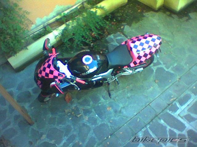 2001 SUZUKI SV 650S | Picture 402493 motorcycle photo