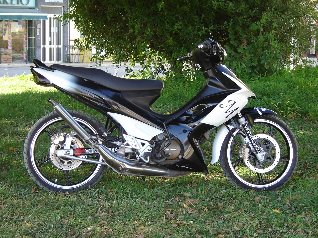 2004 MODENAS DYNAMIC 125 | Picture 402567 motorcycle photo