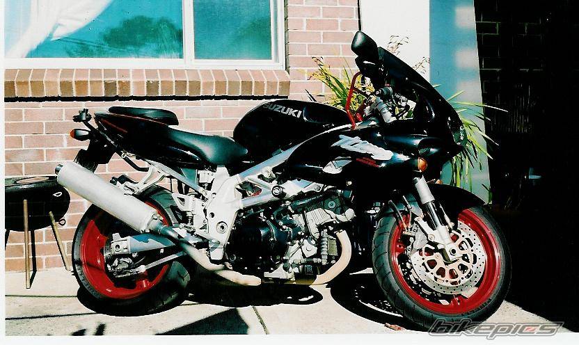1997 SUZUKI TL1000S | Picture 403050 motorcycle photo