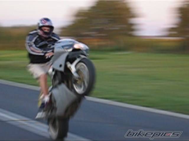 1995 HONDA CBR 900 | Picture 403103 motorcycle photo