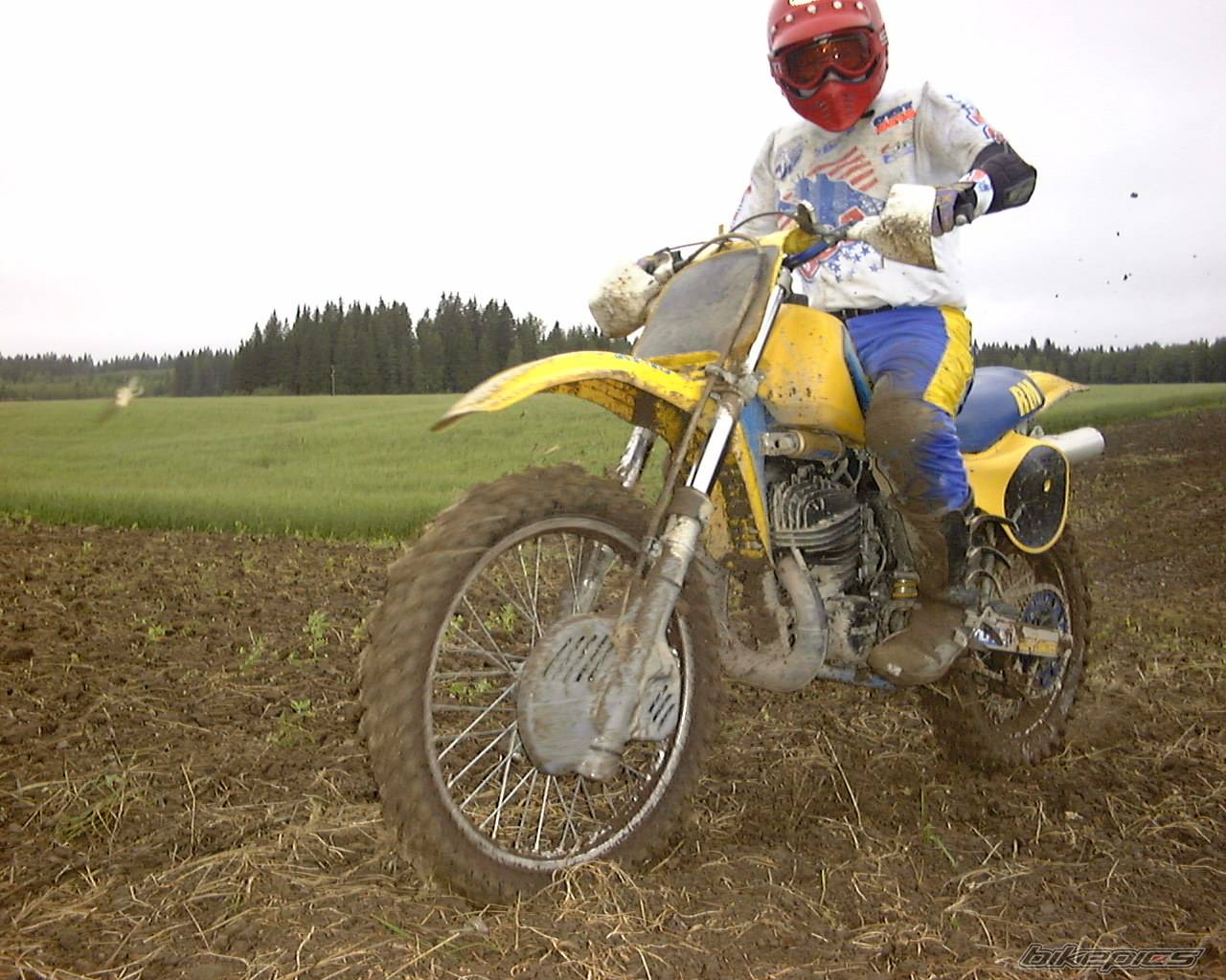 1981 SUZUKI RM 465 | Picture 403328 motorcycle photo