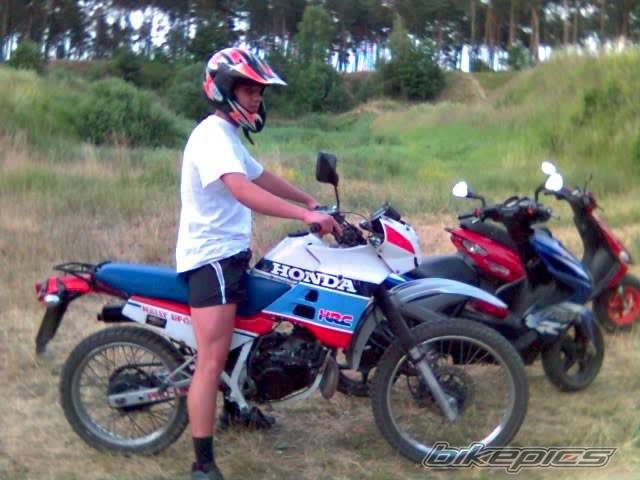 2005 HONDA NX 125 | Picture 403925 motorcycle photo