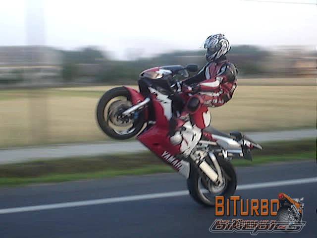 2005 YAMAHA YZF R6 | Picture 404046 motorcycle photo