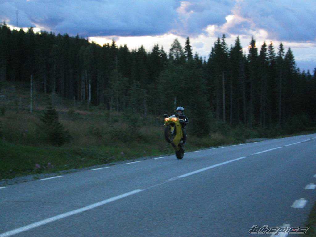 2005 YAMAHA YZF R1 | Picture 404792 motorcycle photo