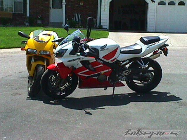 2001 HONDA CBR 600 | Picture 4048 motorcycle photo