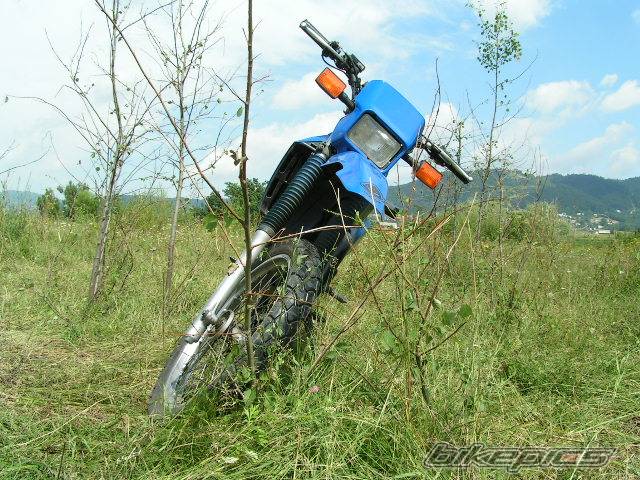 1993 YAMAHA DT 80 | Picture 404958 motorcycle photo
