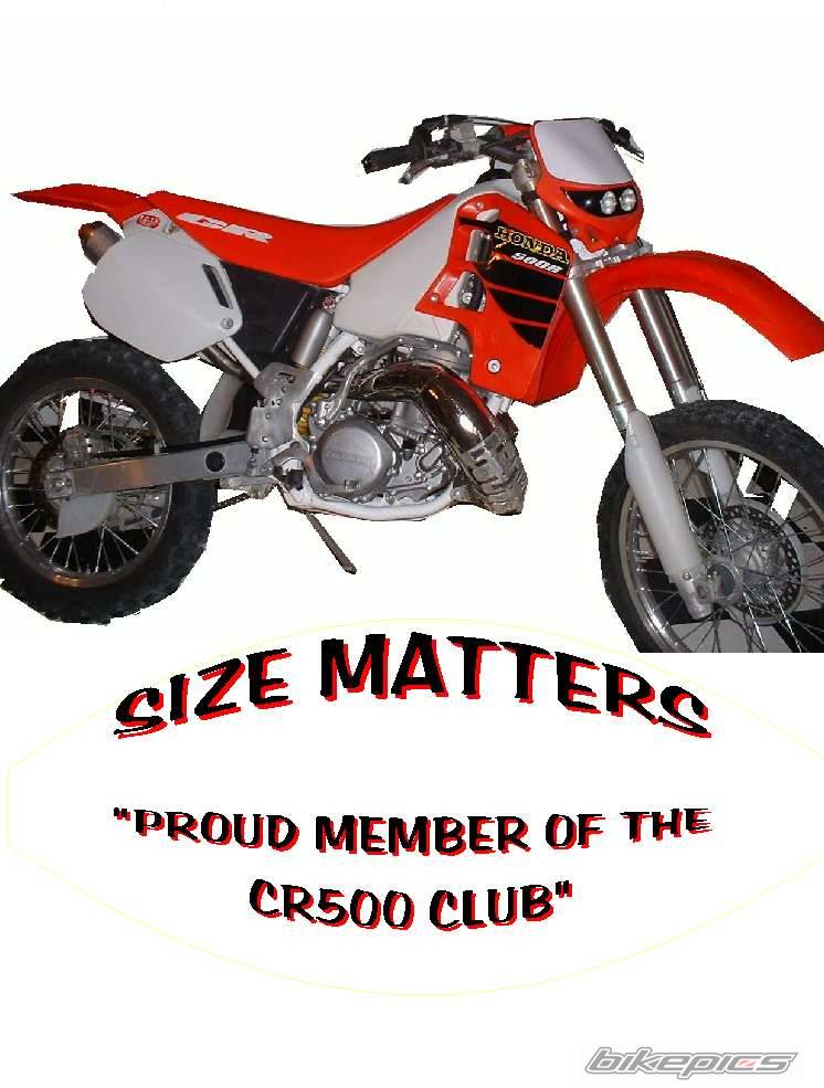2001 HONDA CR 500 | Picture 40539 motorcycle photo