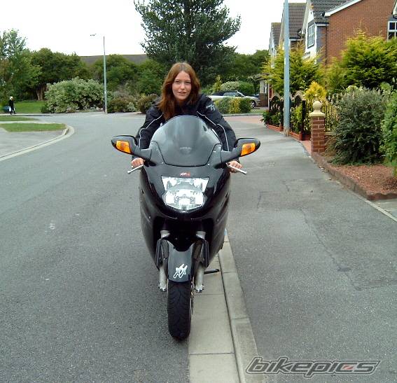 2002 HONDA CBR 1100 BLACKBIRD | Picture 405867 motorcycle photo