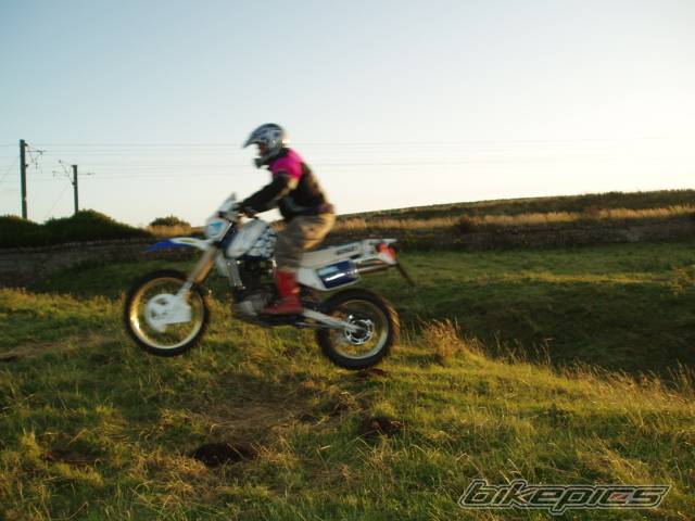 1991 SUZUKI DR 650 | Picture 405883 motorcycle photo