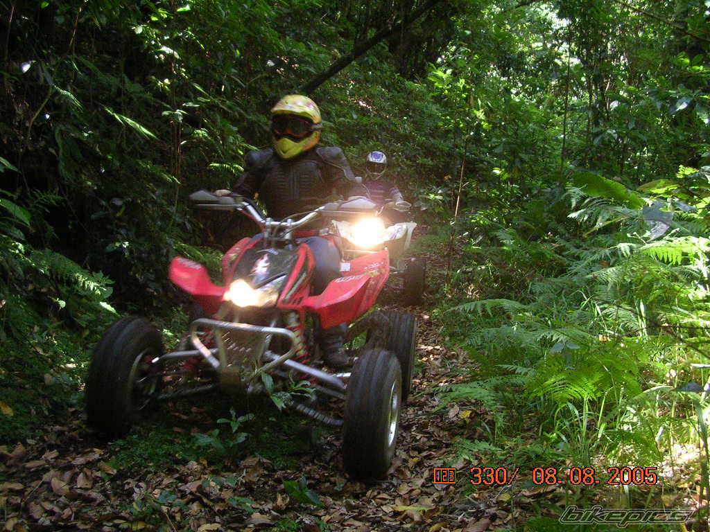 2004 SUZUKI LTZ 400 | Picture 406074 motorcycle photo
