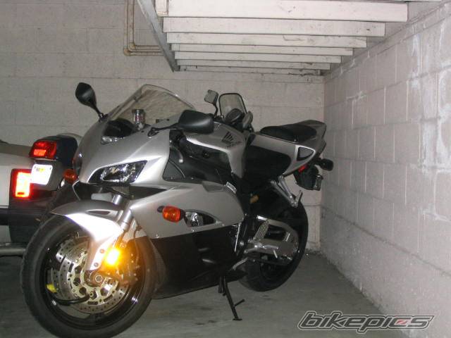2004 HONDA CBR 1000  RR | Picture 406299 motorcycle photo
