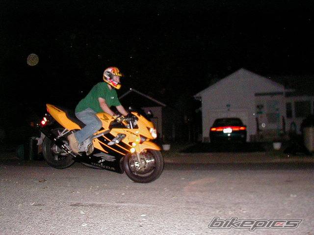 1999 HONDA CBR 600 | Picture 4063 motorcycle photo