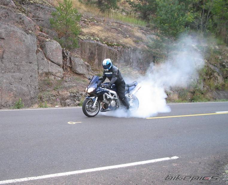 2004 SUZUKI SV 1000 S | Picture 406567 motorcycle photo