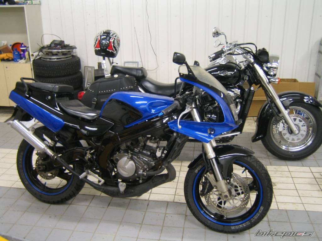 1993 SUZUKI RG 125 | Picture 406773 motorcycle photo