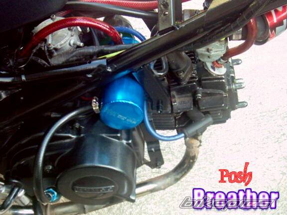2002 KYMCO SPIKE 125 R | Picture 406904 motorcycle photo