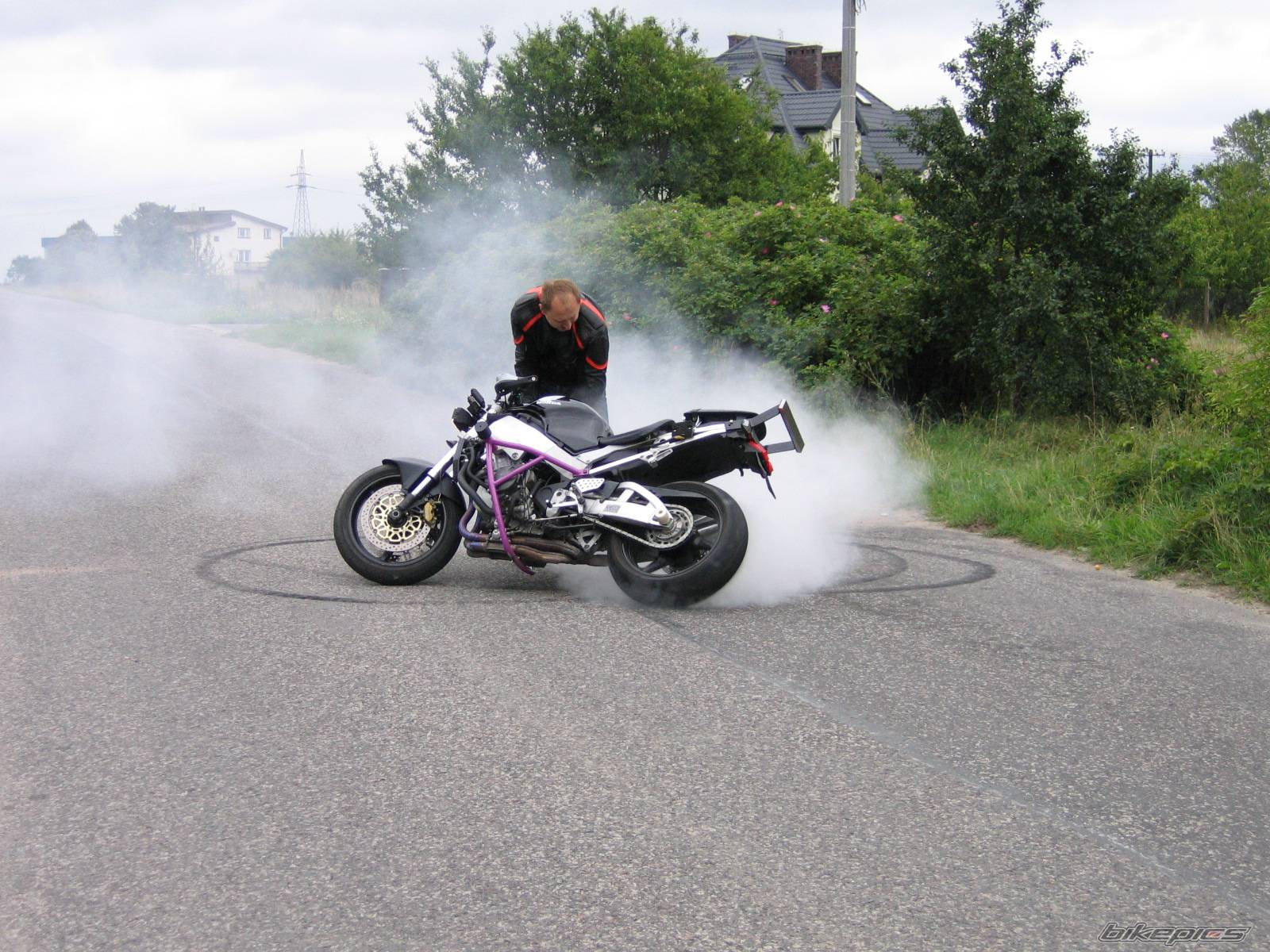 2001 HONDA CBR 900 | Picture 407061 motorcycle photo