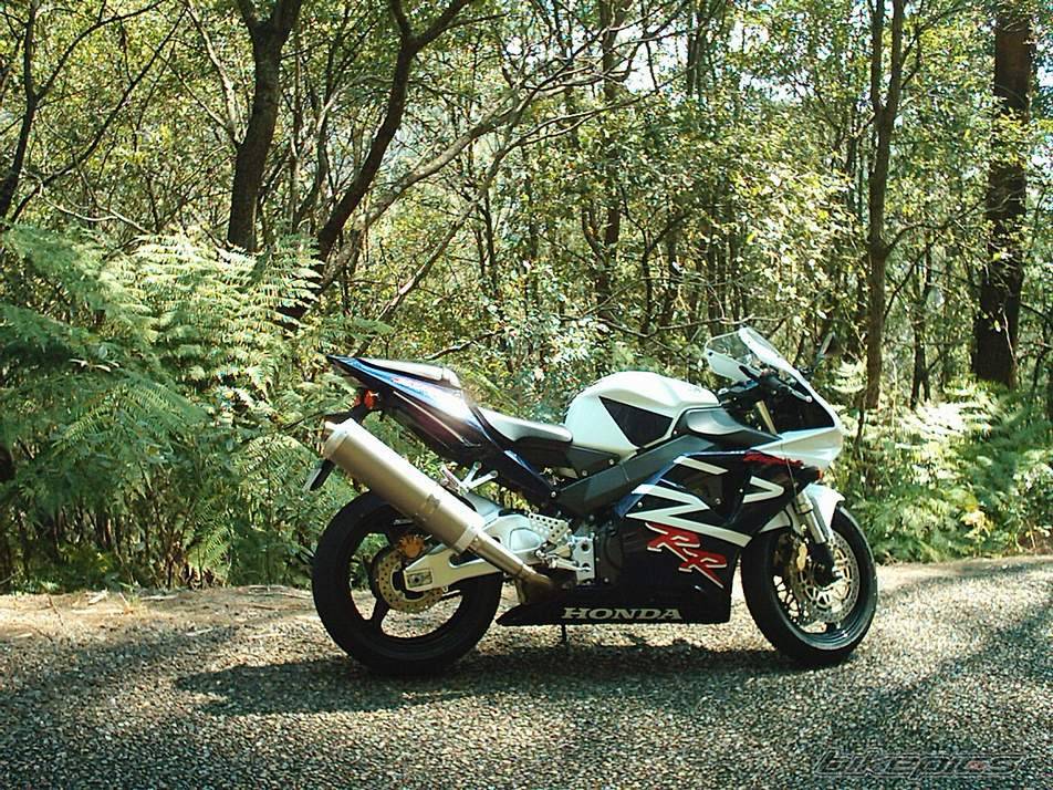2002 HONDA CBR 900 | Picture 40718 motorcycle photo