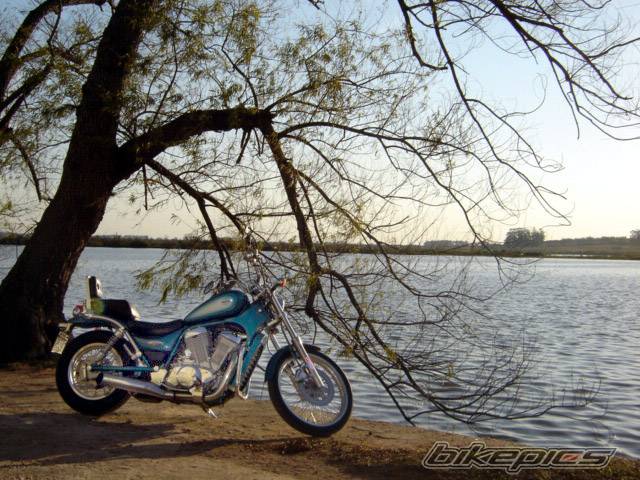 1996 SUZUKI INTRUDER 800 | Picture 407290 motorcycle photo