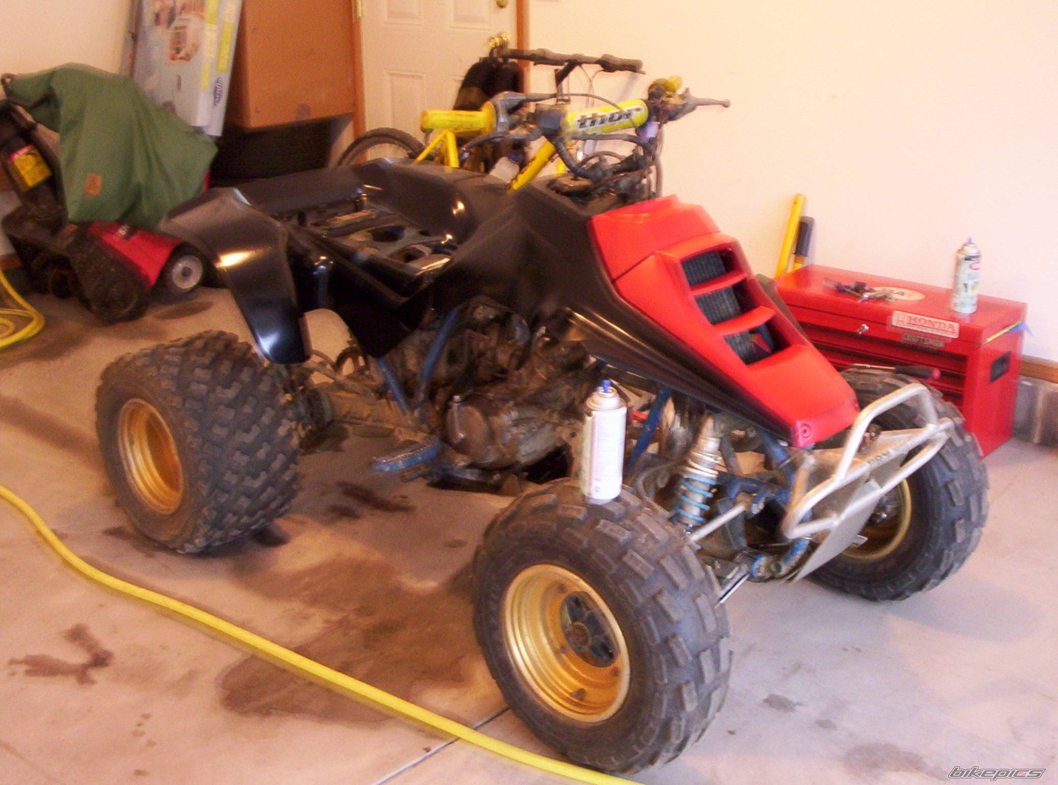 1985 SUZUKI QUADRACER 250 | Picture 407500 motorcycle photo
