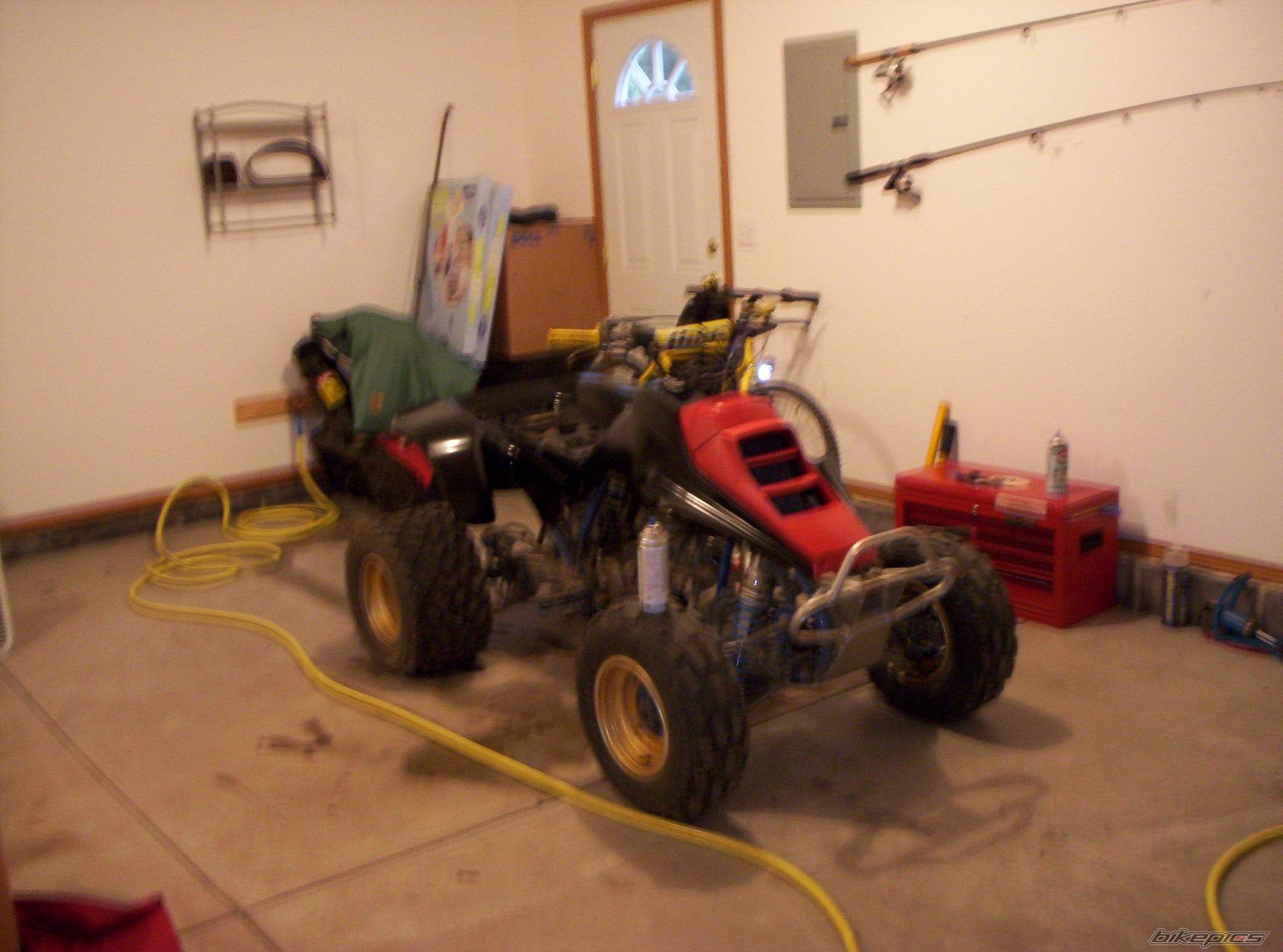 1985 SUZUKI QUADRACER 250 | Picture 407502 motorcycle photo