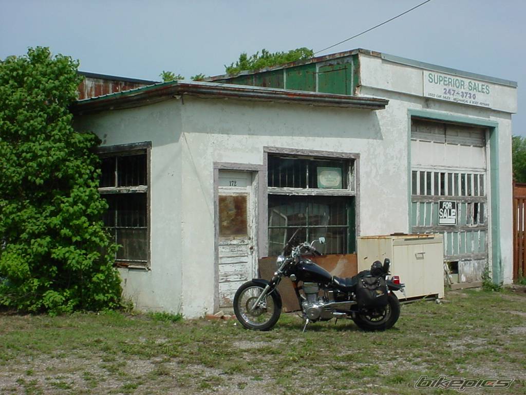 1986 SUZUKI SAVAGE | Picture 407503 motorcycle photo