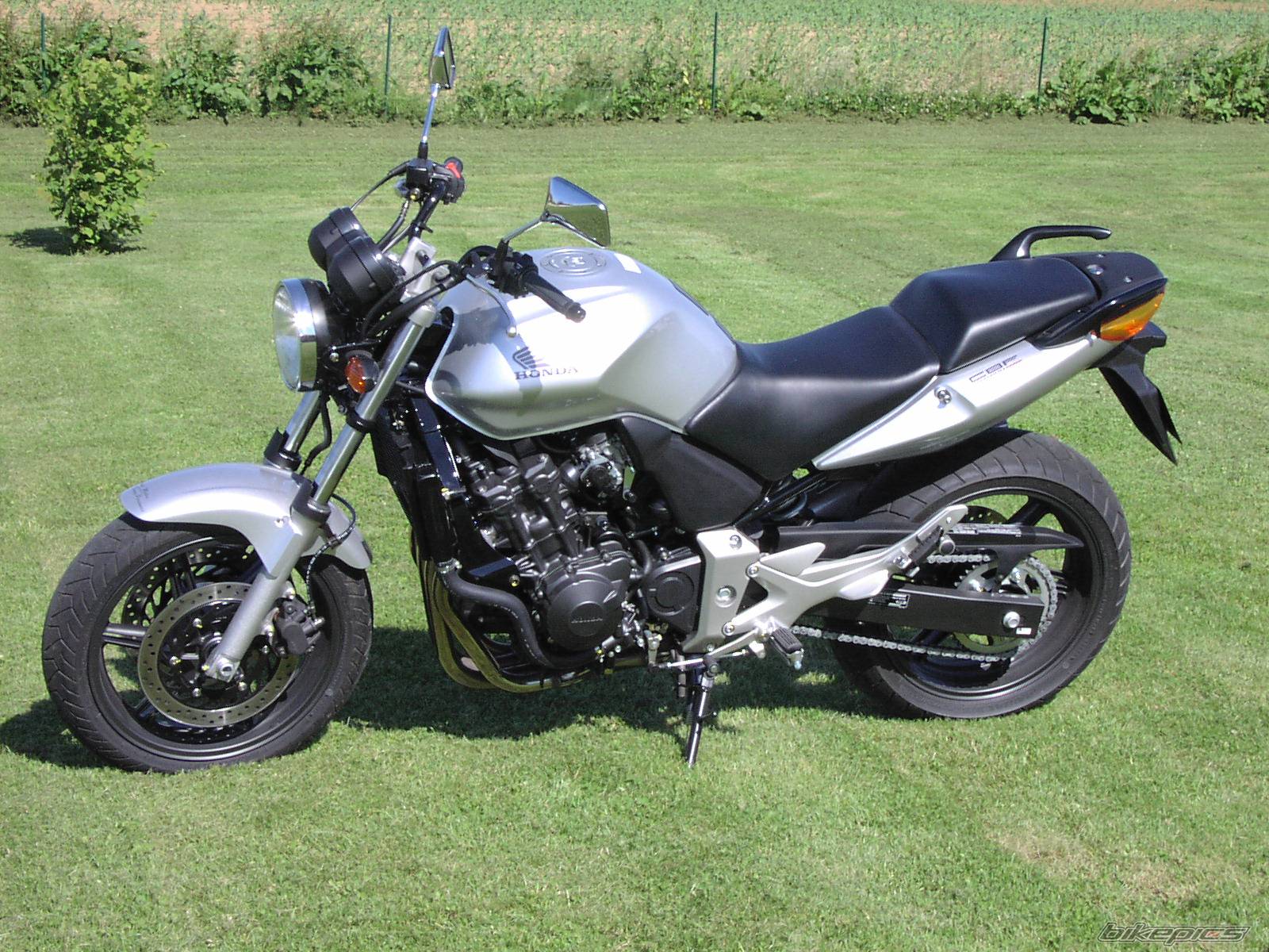 2005 HONDA CBF 600 | Picture 407607 motorcycle photo