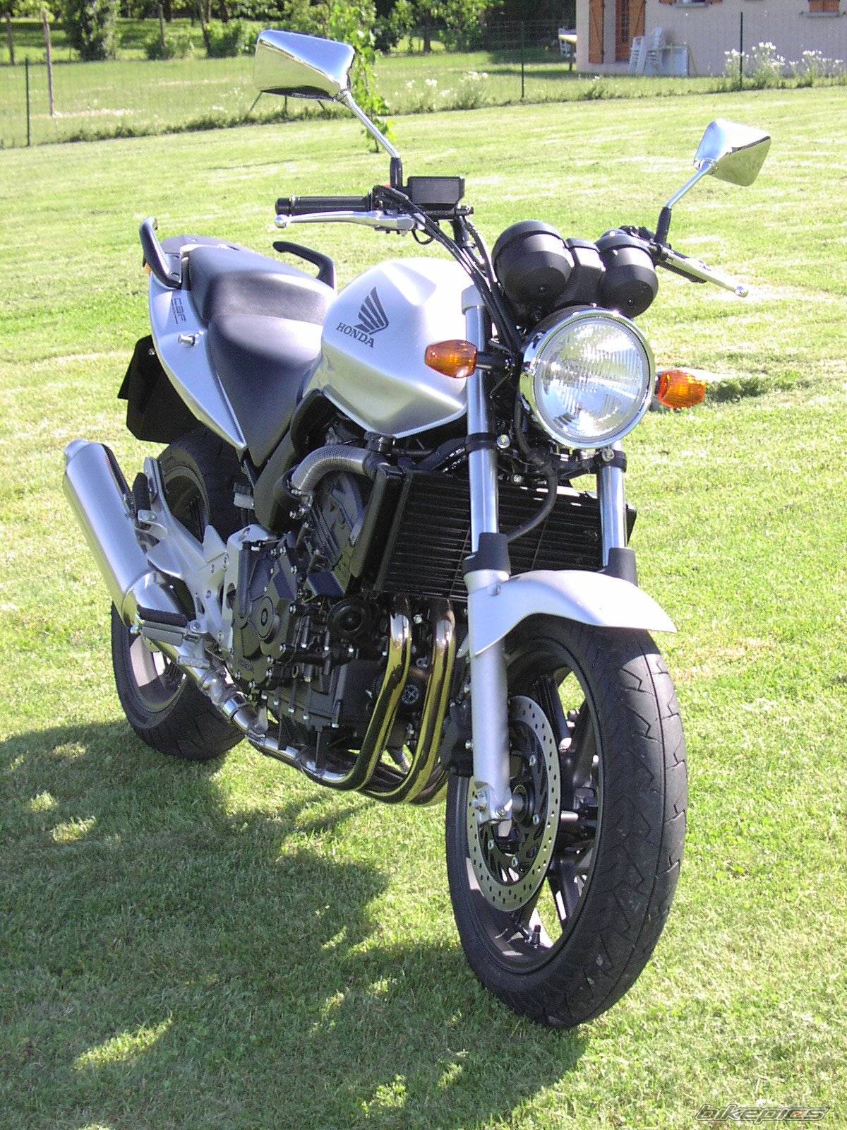 2005 HONDA CBF 600 | Picture 407636 motorcycle photo