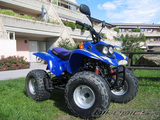 2002 X SPORT TWS COBRA UNILLI | Picture 407846 motorcycle photo