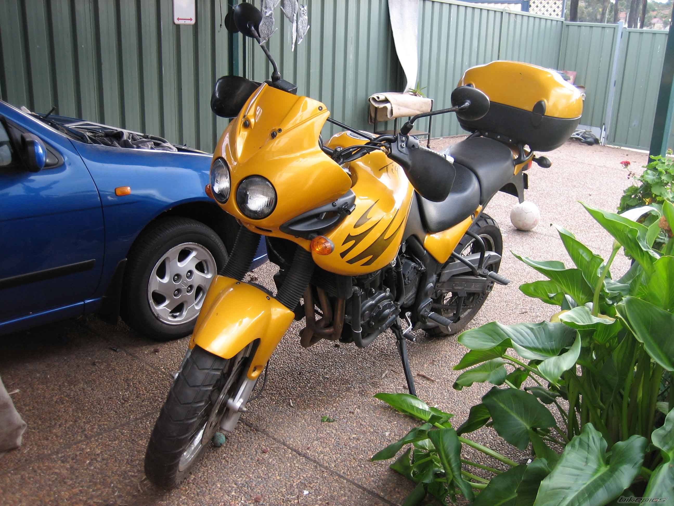 1999 TRIUMPH TIGER | Picture 408379 motorcycle photo