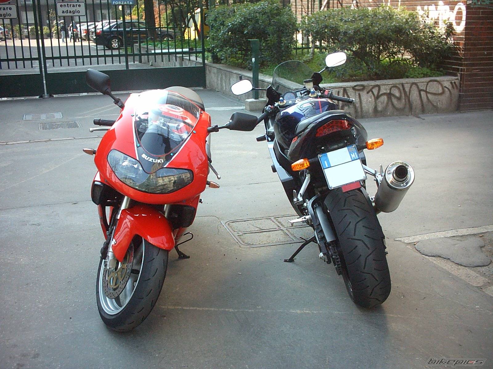 1998 SUZUKI TL1000R | Picture 408380 motorcycle photo