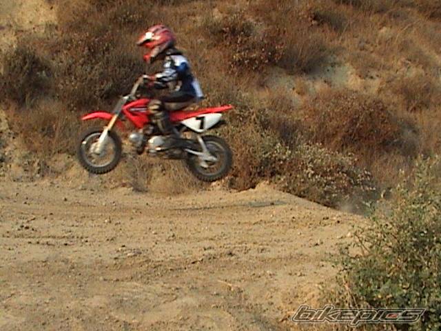 2005 HONDA CRF 50 | Picture 408791 motorcycle photo