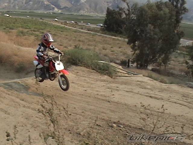 2005 HONDA CRF 50 | Picture 408820 motorcycle photo