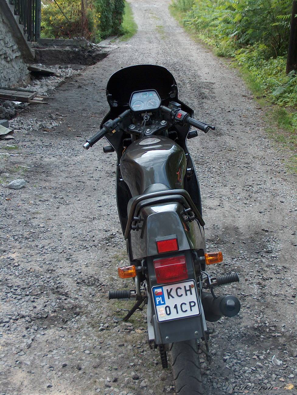 1994 SUZUKI RG 80 | Picture 409360 motorcycle photo