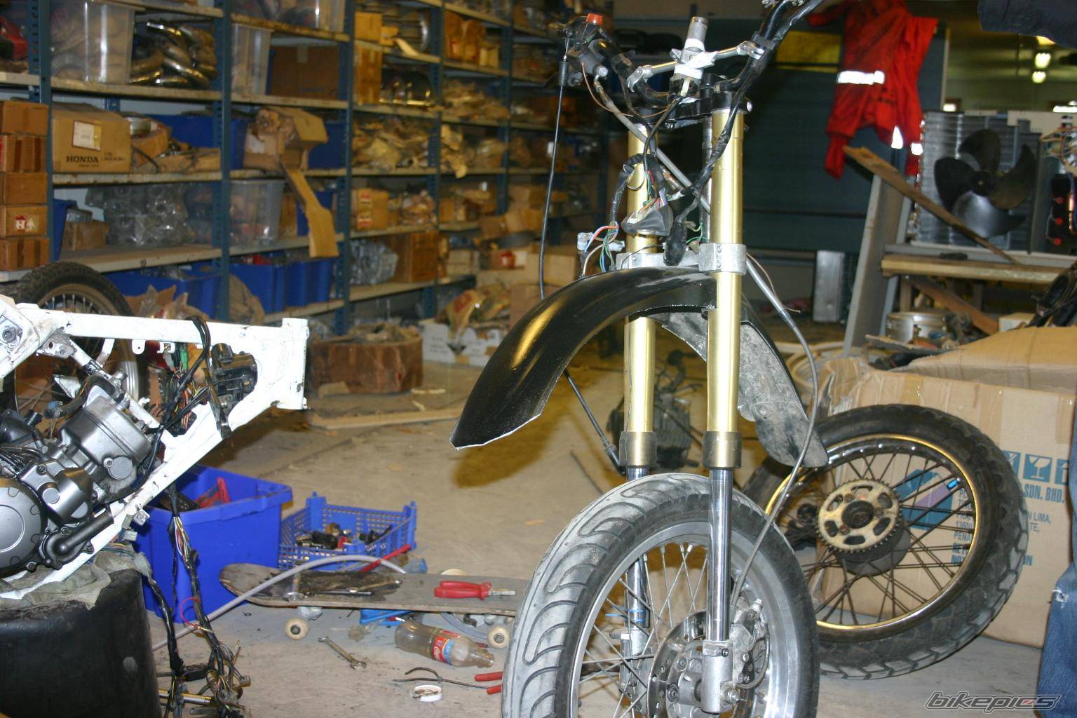 2005 HONDA MTX 50 | Picture 409791 motorcycle photo